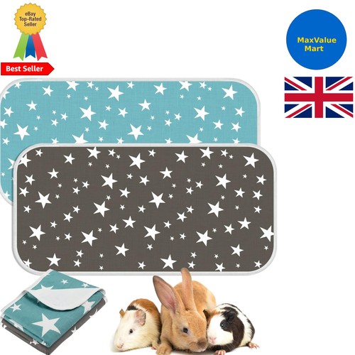 Pack reusable guinea pig - guinea,